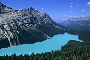Images Dated 12th June 2009: Peyto Lake viewed from near Bow Pass along