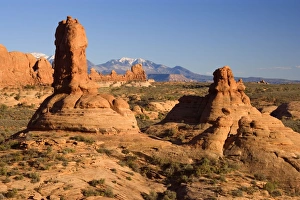 Pillars of the Earth - red sandstone pillars standing in front of the Manti-La Sal Pillars of the Earth - red sandstone pillars standing in front of the Manti-La Sal