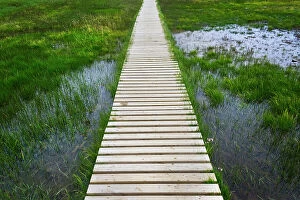 Plank Gallery: A plank pathway in Landmannalaugar, Iceland