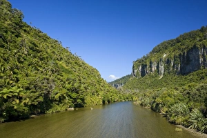 Pororari Gorge - limestone gorge of the Pororari river with lush rainforest vegetation Pororari Gorge - limestone gorge of the Pororari river with lush rainforest vegetation