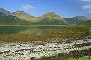 Red Cuillins and Loch Slapin - seen from beach near Torrin at low tide Red Cuillins and Loch Slapin - seen from beach near Torrin at low tide