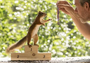Podium Collection: Red Squirrel and man with a medal