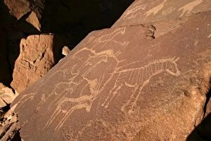 Images Dated 31st December 2003: Rock Engravings. Twyfelfontein. Namibia Betweeen -5600 BC et _2500 BC