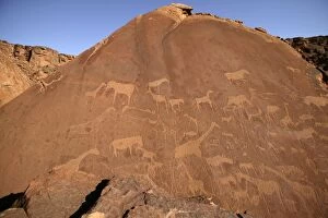 Images Dated 31st December 2003: Rock Engravings. Twyfelfontein. Namibia Betweeen -5600 BC et _2500 BC