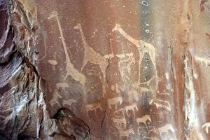 Images Dated 1st January 2004: Rock Engravings. Twyfelfontein. Namibia Betweeen -5600 BC et _2500 BC
