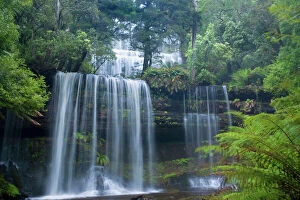 Russell Falls - waterfall amidst temperate rainforest