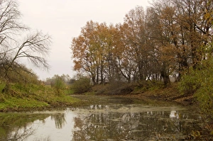 Russian Desman - typical habitat Russian Desman - typical habitat