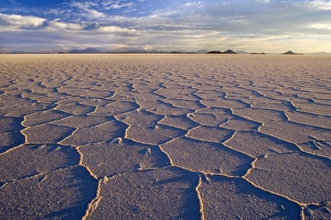 Salar de Uyuni - polygonal salt pattern on dried up salt lake at sunset Salar de Uyuni - polygonal salt pattern on dried up salt lake at sunset
