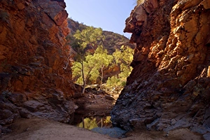 Serpentine Gorge - towering red cliffs at the entrance of Serpentinge Gorge and a semi-permanent waterhole Serpentine Gorge - towering red cliffs at the entrance of Serpentinge Gorge and a semi-permanent waterhole