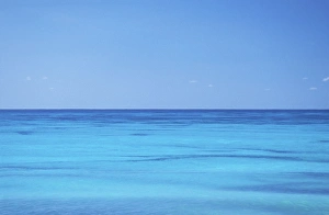 Seychelles - Assumption Island Seychelles - Assumption Island
