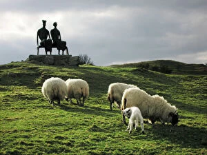 SG-20158 Sheep - grazing before the Henry Moore sculpture King & Queen Glenkiln