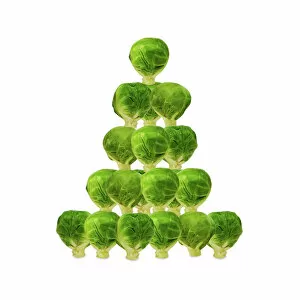 SG-20233-M2 Brussel Sprout - in Christmas tree shape