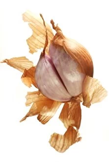 Images Dated 10th August 2003: Shallot