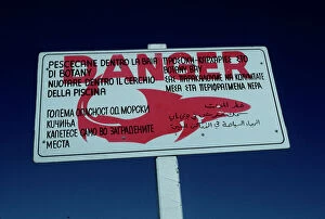 Shark Collection: Shark warning sign - these signs are off most swimming beaches