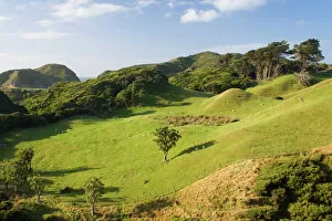 Sheep farming - typical hilly farming landscape with grazing sheep Sheep farming - typical hilly farming landscape with grazing sheep