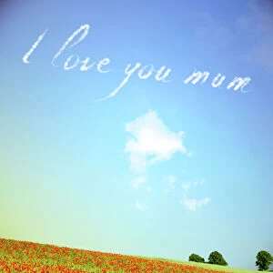 Wild Flower Collection: Sky Writing - I love you mum Digital Manipulation: Poppies USH-5396 - clouds and sky all made