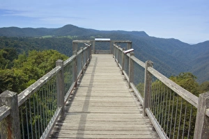 Skywalk over rainforest - this boardwalk is built on top of the mountain range near the Skywalk over rainforest - this boardwalk is built on top of the mountain range near the