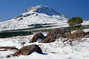 Snow at Hogsback, Amatola Mountains Snow at Hogsback, Amatola Mountains