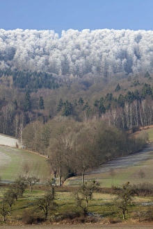 Snowline - on forestry in the River Weser valley in winter Snowline - on forestry in the River Weser valley in winter