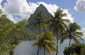 St Lucia - the Bay at Soufriere with Gros Piton beyond. Palm trees in foreground St Lucia - the Bay at Soufriere with Gros Piton beyond. Palm trees in foreground