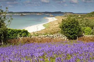Bluebells Gallery: St Martin's - Lawrence's Bay - view towards Tresco