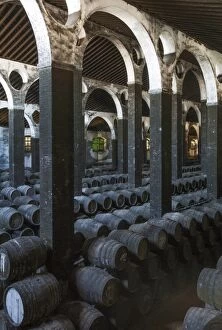 Wine Cellar Gallery: Stacked oak barrels in the cellar La Catedral at the B