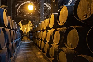 Wine Cellar Gallery: Stacked oak barrels in one of the cellars at the Bodegas