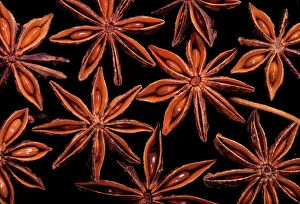 STAR ANISE - close-up of seeds