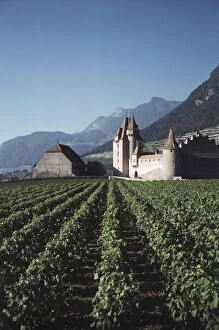Images Dated 10th June 2014: Switzerland, Vaud Canton, Chateau and Vineyards
