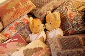Teddy Bear - x2 teddies in bed Teddy Bear - x2 teddies in bed