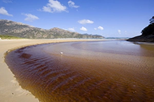Tidal River - brown coloured water of Tidal River flows down into the ocean, at low tide Tidal River - brown coloured water of Tidal River flows down into the ocean, at low tide