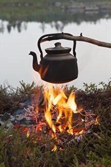 Firewood Gallery: Tin kettle Tin Kettle on camp fire Sweden
