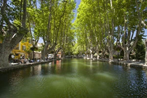 Vaucluse Gallery: Tree-lined pool, les Bassin de l'Etang