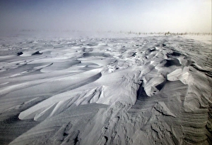 Tundra. Churchill. Manitoba. Canada Tundra. Churchill. Manitoba. Canada