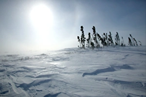 Tundra - sun shining as snow is blown across landscape Tundra - sun shining as snow is blown across landscape