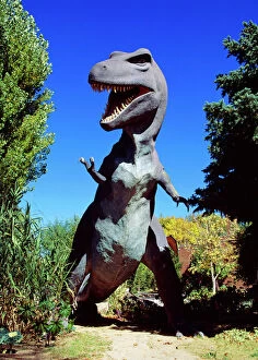 Size Collection: Tyrannosaurus Rex Dinosaur - Dinosaur Gardens, Vernal, Utah, USA