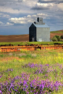 Julie Gallery: USA, Washington State, Palouse. Old silo with wildflowers