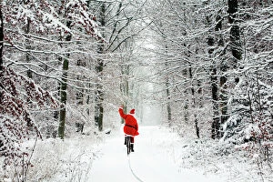 USH-4674-M Father Christmas - riding bicycle through beech woodland - coverd in snow and ice