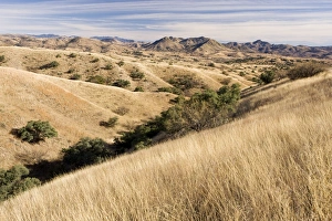 The vast savannah grasslands of south-east Arizona, near Patagonia, with the Patagonia Mountains beyond, in winter The vast savannah grasslands of south-east Arizona, near Patagonia, with the Patagonia Mountains beyond, in winter