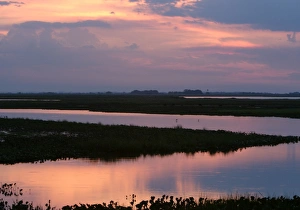 Venezuela - sunset over the Llanos Venezuela - sunset over the Llanos