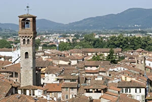 Density Gallery: View of Lucca from Torre Guinigi, Lucca
