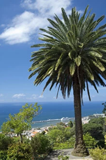 View overlooking the port area, Funchal