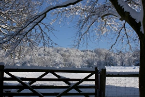 View of snowy hillside over 5 bar gate framed by branches and with blue sky View of snowy hillside over 5 bar gate framed by branches and with blue sky