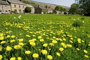Images Dated 10th May 2006: Village green at Arncliffe, Yorkshire Dales. Classic flowery village green. North Yorkshire