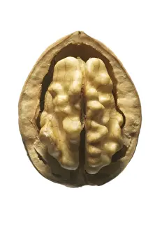 Close Up Walnuts Prints: Walnuts In shell