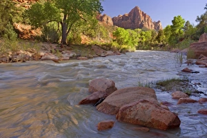 The Watchman - Virgin River flowing through Zion Canyon passing The Watchman mountain The Watchman - Virgin River flowing through Zion Canyon passing The Watchman mountain