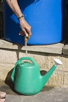 Water conservation - woman filling watering can