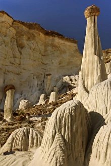 White Ghosts - the Wahweap Hoodoos are white pedestral rocks of silt-stone some of them White Ghosts - the Wahweap Hoodoos are white pedestral rocks of silt-stone some of them