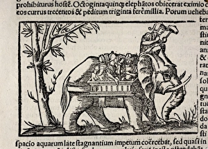 1552 Munsters War Elephant of India 1552 Munsters War Elephant of India