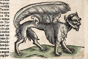 1627 A Beast Called Su, colour 1627 A Beast Called Su, colour